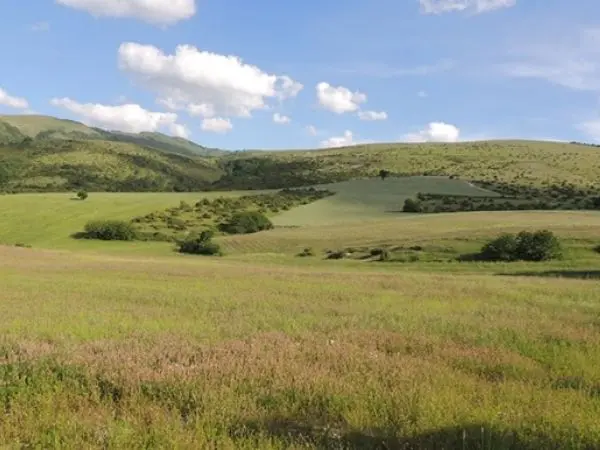 mixed hunting in Italy