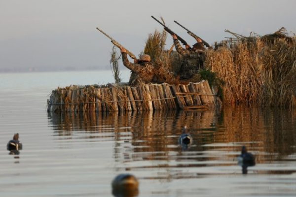Hunting-ducks-in-Italy