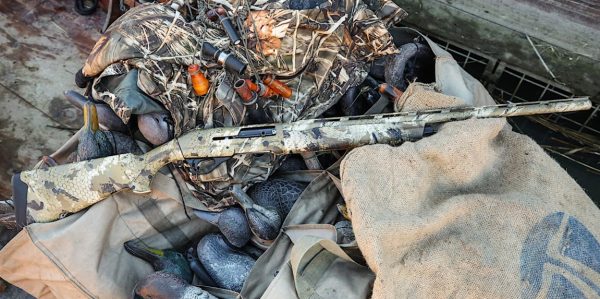 Hunting-ducks-in-the-Venice-lagoon