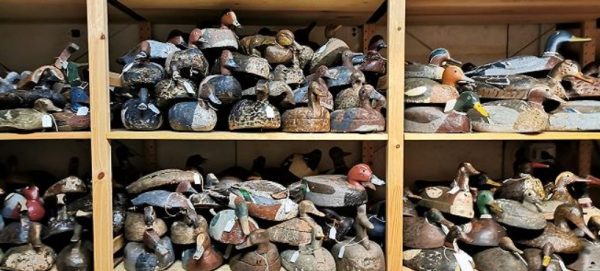 ducks-hunting-the-italian-way