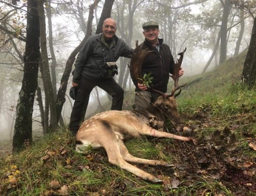 Fallow Deer Hunting in Italy: Tips, Traditions, and Culinary DelightsPublished On: Ottobre 27, 2024