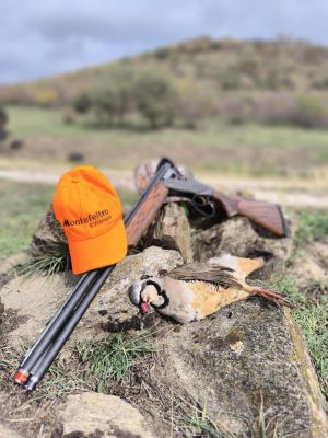 Hunting-in-Makodonia-with-pointing-dogs