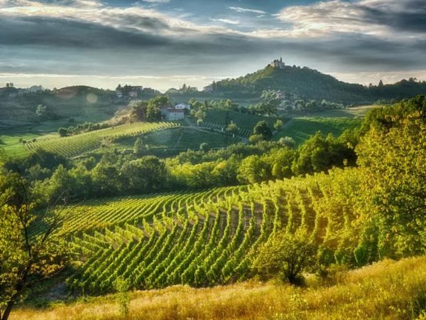 Hunting-in-Italian-hills-Gavi