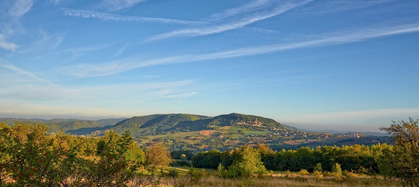 Reganzo Hunting Reserve: A Paradise for Pointing Dog Enthusiasts in the Heart of Lombardy