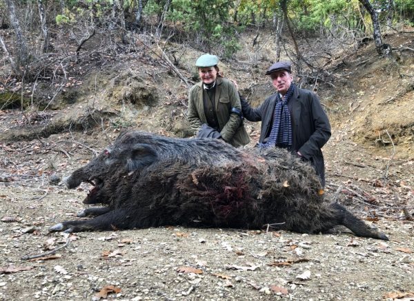 Massive-wild-boar-Montenero-Todi