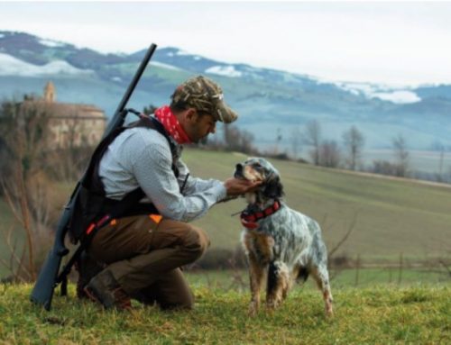 The Poetry of Pheasant Hunting with a Pointing DogPublished On: Gennaio 25, 2025