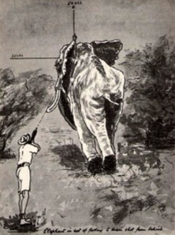 Karamojo-Bell-famous-brainshot