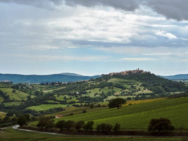 The Rolling Hills of Piacenza