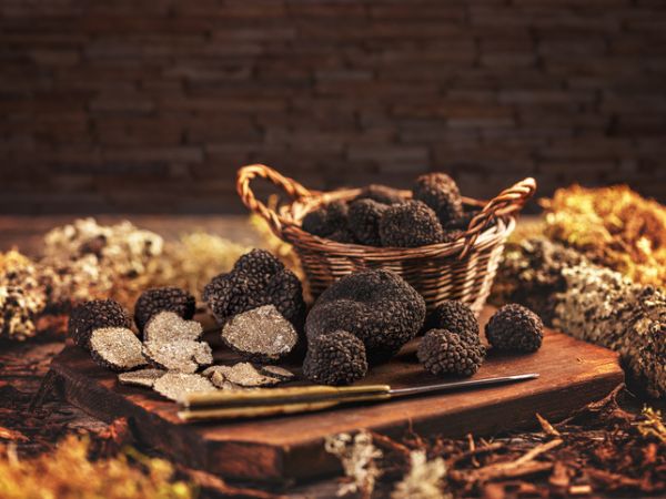 Expensive black truffle mushrooms