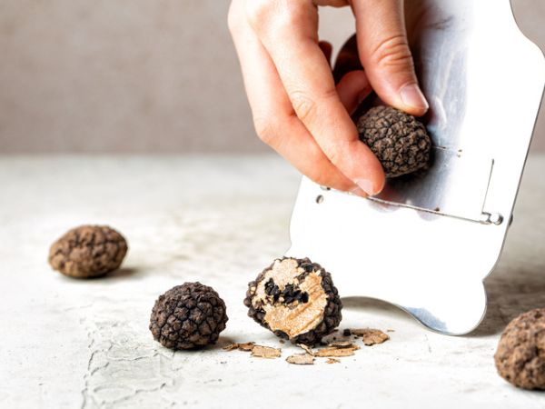 Truffle hunting in the woods of the La Montefeltro Reserve