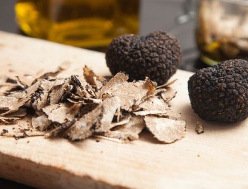 Truffle hunting in the woods of the La Montefeltro Reserve in Rivergaro.Published On: Febbraio 3, 2025