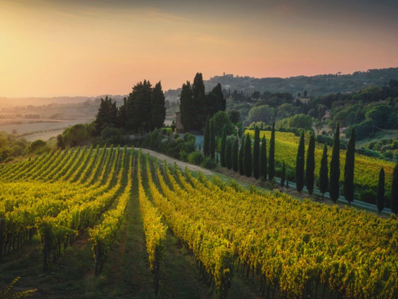 Maremma Toscana