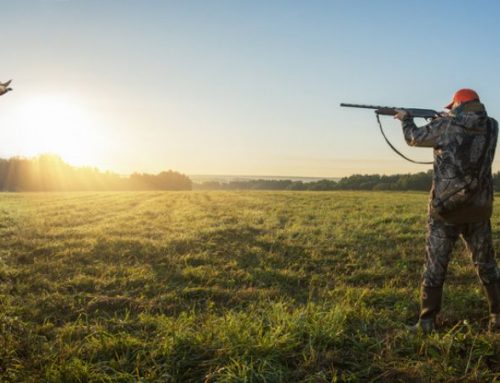 The Charm of the Break-Action Shotgun: Side-by-Side or Over-Under?Published On: Febbraio 27, 2025