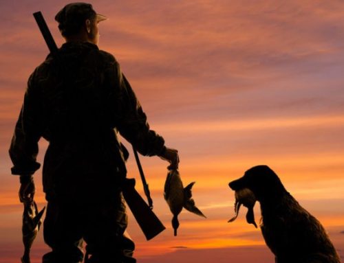 Hunting Preparation: Key Elements for a Perfect ShotPublished On: Marzo 2, 2025