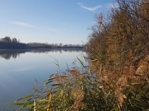 Budrio naturalistic oasis
