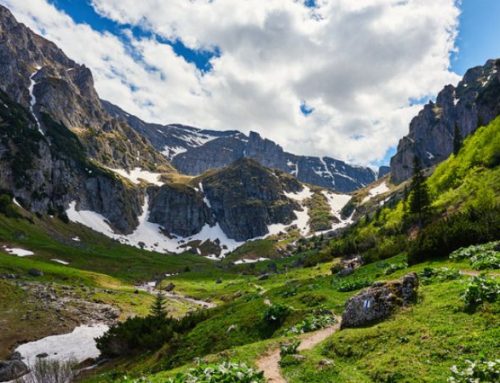 Romania: Where the Wild Still BreathesPublished On: Maggio 21, 2025