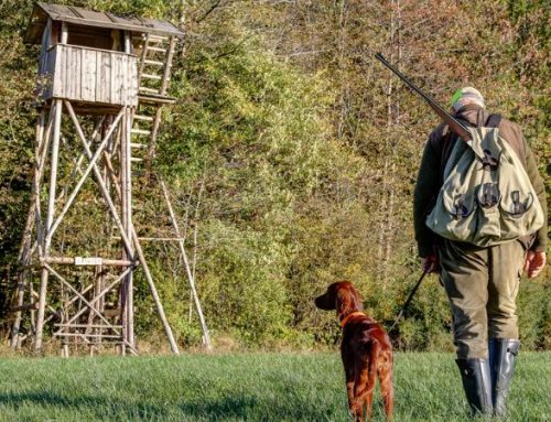 The differences between selective hunting, trophy hunting, and population control.Published On: Maggio 30, 2025