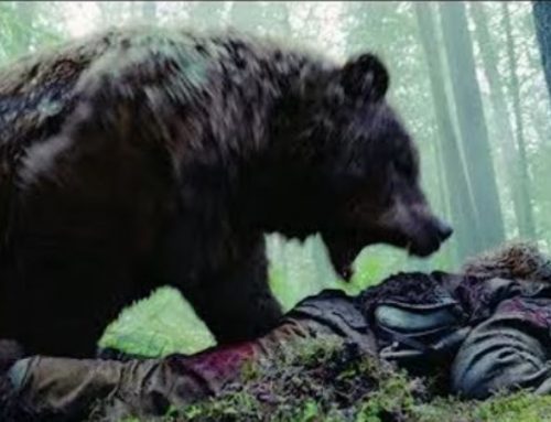 Hunting and Cinema: Ten Great Films That Celebrate the Nobility of the Hunting ArtPublished On: Giugno 11, 2025