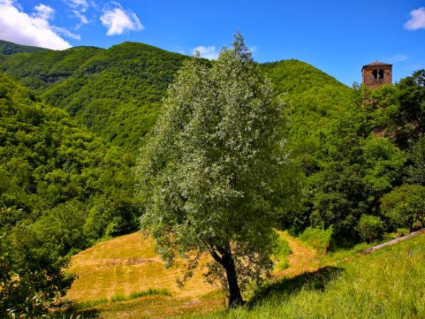 Appennino modenese