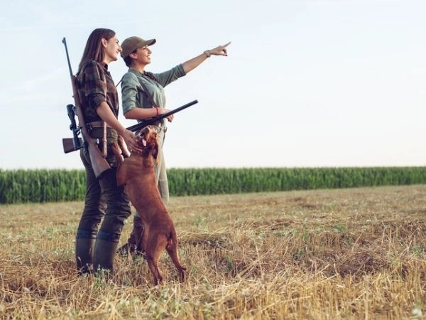 hunting with a dog