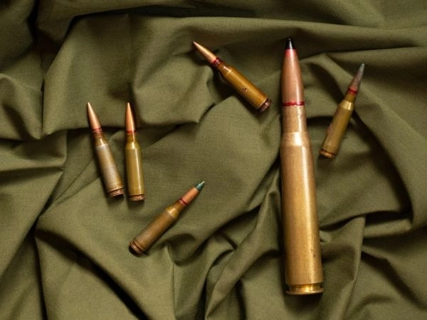 308 Winchester
