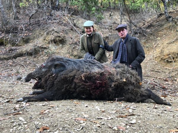 boar hunting in Italy
