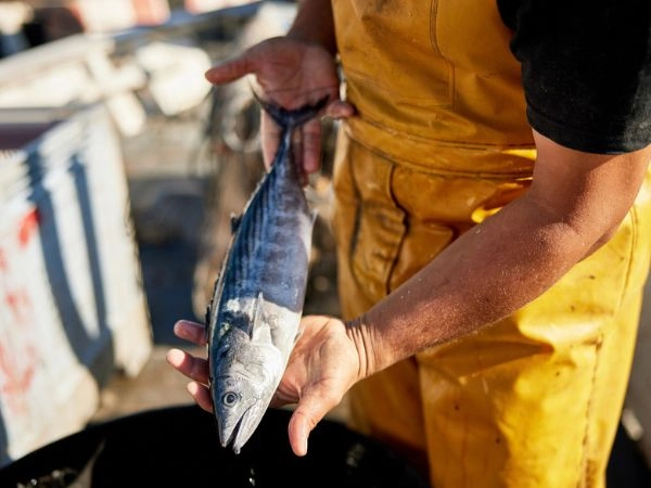 fisherman with a fish in the hand