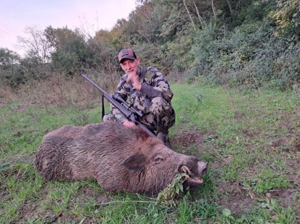 Beautiful-Italian-Wild-Boar-Male-hunted-in-Tuscany-Italy