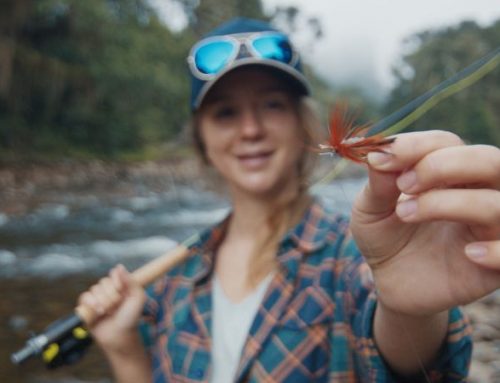 Fly Fishing in Iceland: Gear, Rules, and SterilizationPublished On: March 25, 2026