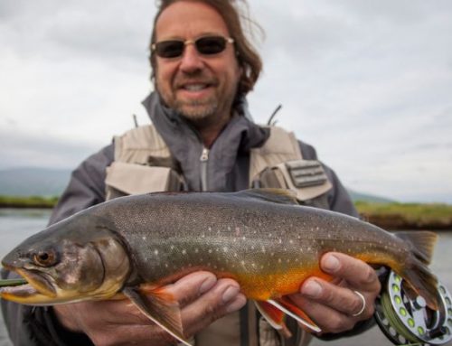 Differences Between East Rangá, West Rangá, and Leirvogsá: Which One to Choose in IcelandPublished On: April 1, 2026