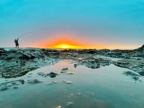 South Africa and fishing: a land of contrasts and abundance