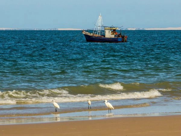 Why choose Jeffreys Bay for a fishing trip
