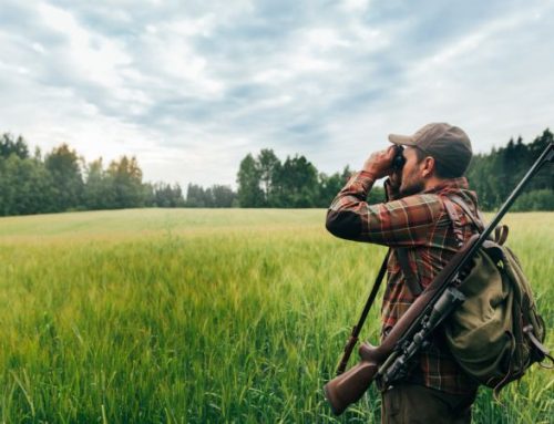 The Role of the Hunter in Wildlife ManagementPublished On: June 11, 2026